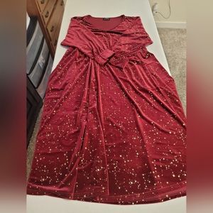Bloomchic Maroon Velvet Dress